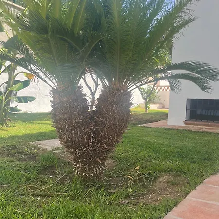 Espiga * Benalmádena